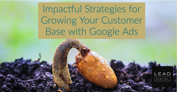 Impactful Strategies for Growing Your Customer Base with Google Ads