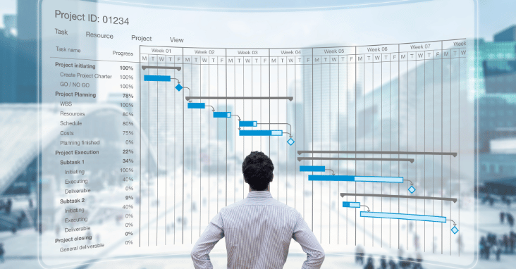 Critical Chain Project Management: Optimizing Performance