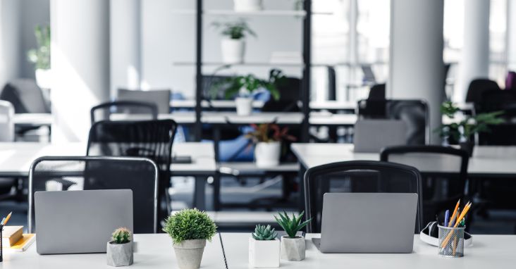 The Best Absence Management Software for Your Business