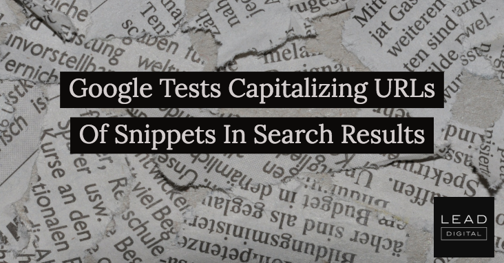 Google Tests Capitalizing URLs Of Snippets In Search Results