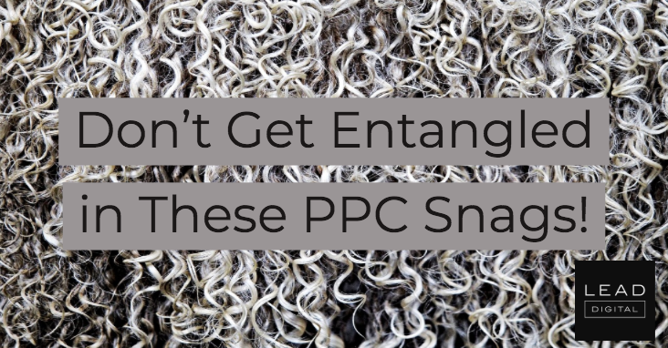 Don’t Get Entangled in These PPC Snags!