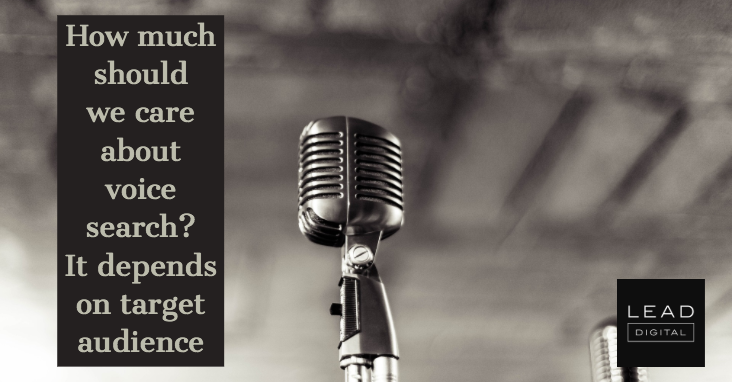 How much should we care about voice search? It depends on target audience