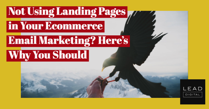 Not Using Landing Pages in Your Ecommerce Email Marketing? Here’s Why You Should