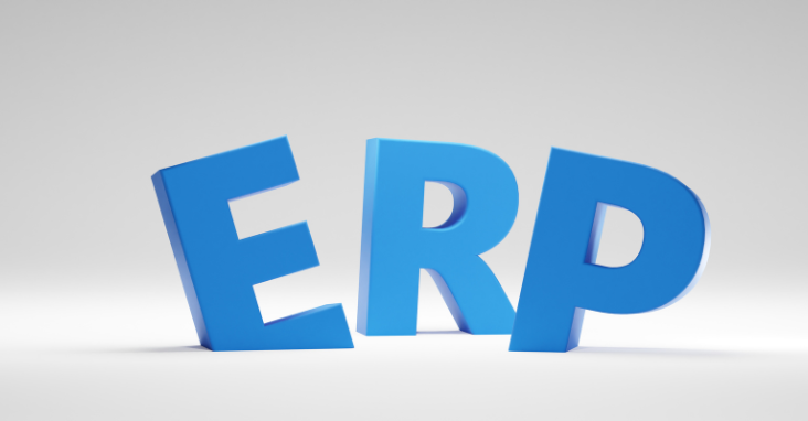 What Does ERP Stand For? Decoding the Business Software Jargon
