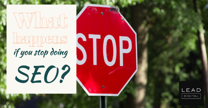 What happens if you stop doing SEO?