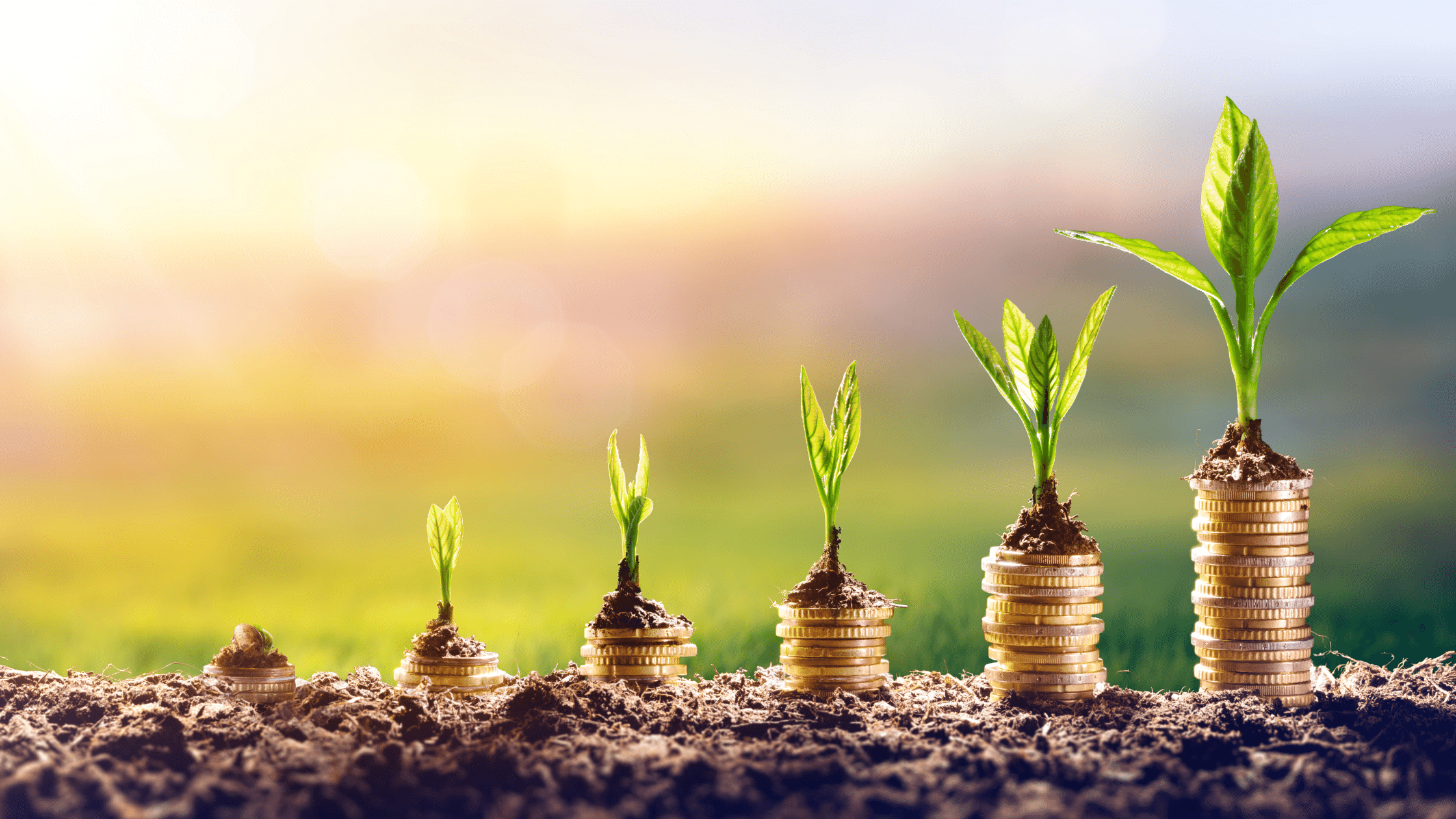 Why You Don’t Need a Marketing Budget