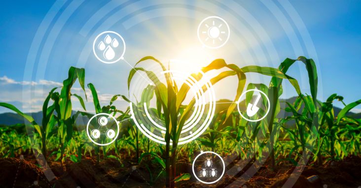 Best Farm Management Software: Streamlining Farm Operations