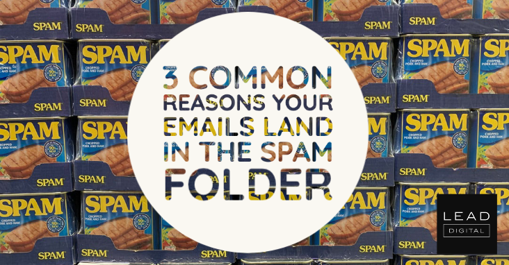 3 Common Reasons Your Emails Land in the Spam Folder