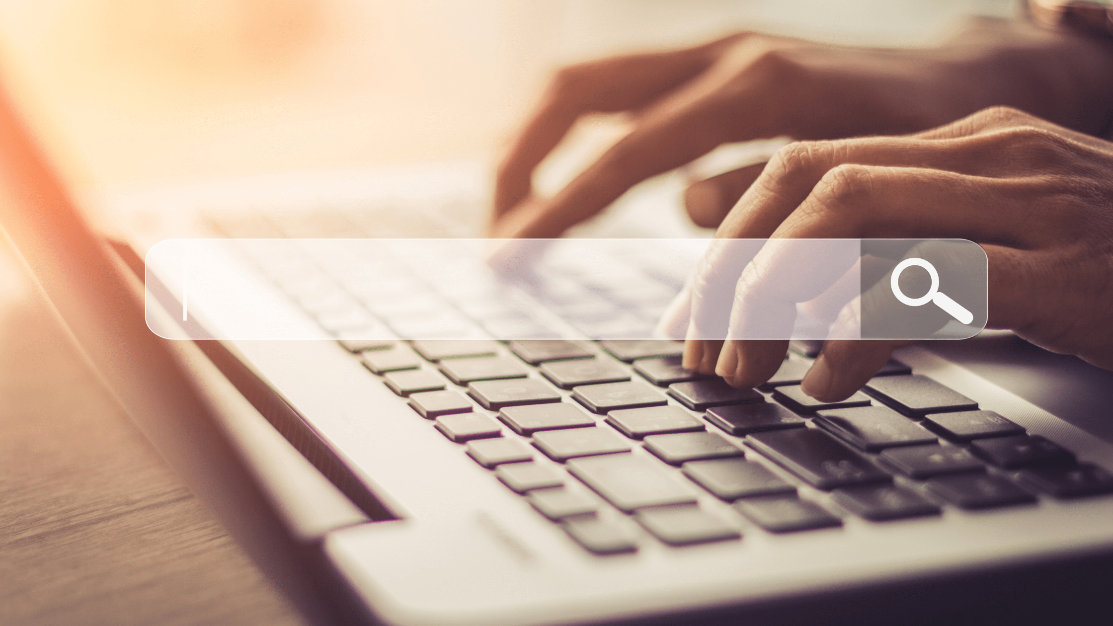 What Are Search Terms (and How to Find Them)