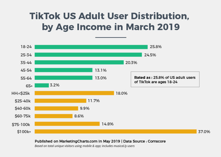 statistics on US tiktok user based on age and income