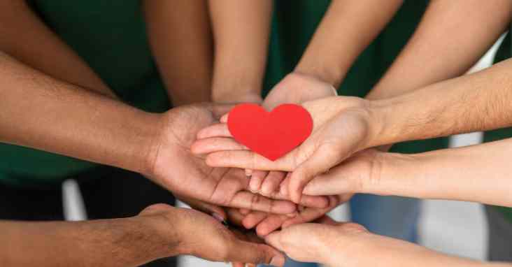 What Is the Best Accounting Software for Non Profits?