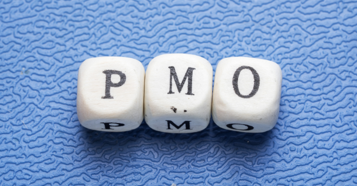 What Does PMO Stand For? A Quick Guide